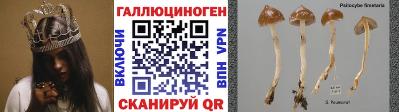 Псилоцибиновые грибы ЛСД Шатура