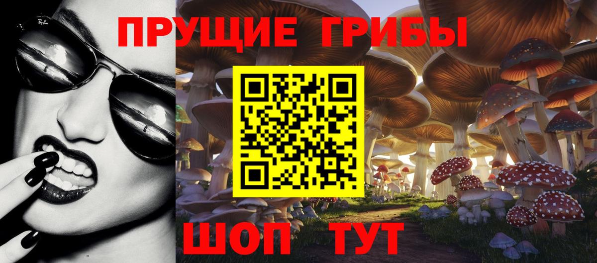 Псилоцибиновые грибы Magic Shrooms Шатура