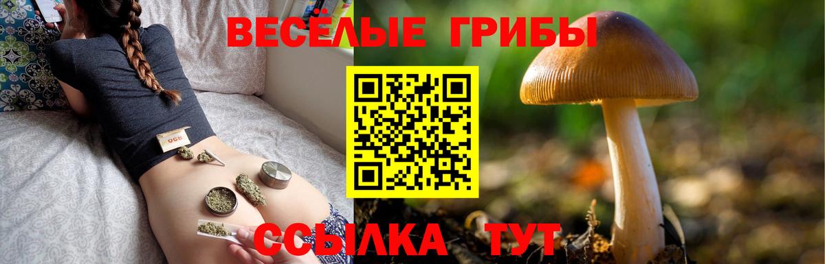 Галлюциногенные грибы GOLDEN TEACHER  Псилоцибиновые грибы Magic Shrooms  Шатура 